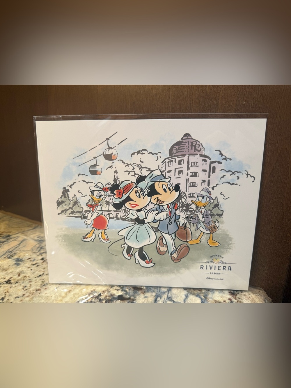 Disney DVC Member Riviera Resort Mickey Minnie Mouse Daisy Skyliner Art Print